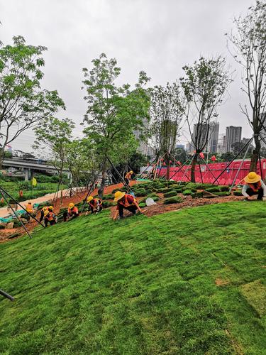 國藝園林大沙河生態長廊景觀項目綠化工程II標 假山的藝術與生態融合