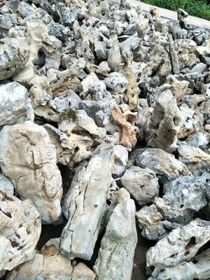 太湖石 自然的雕塑，園林的靈魂